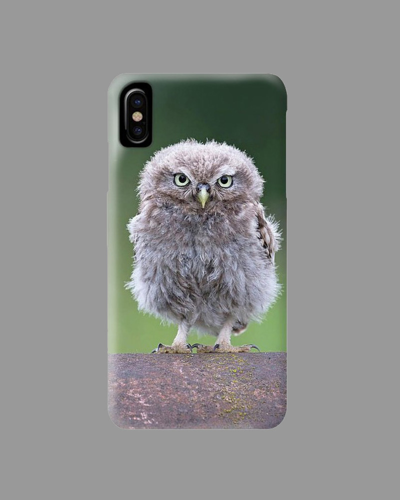 Online Shop - iPhone Cover